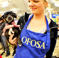 OFOSA Adoption Events at Petsmart