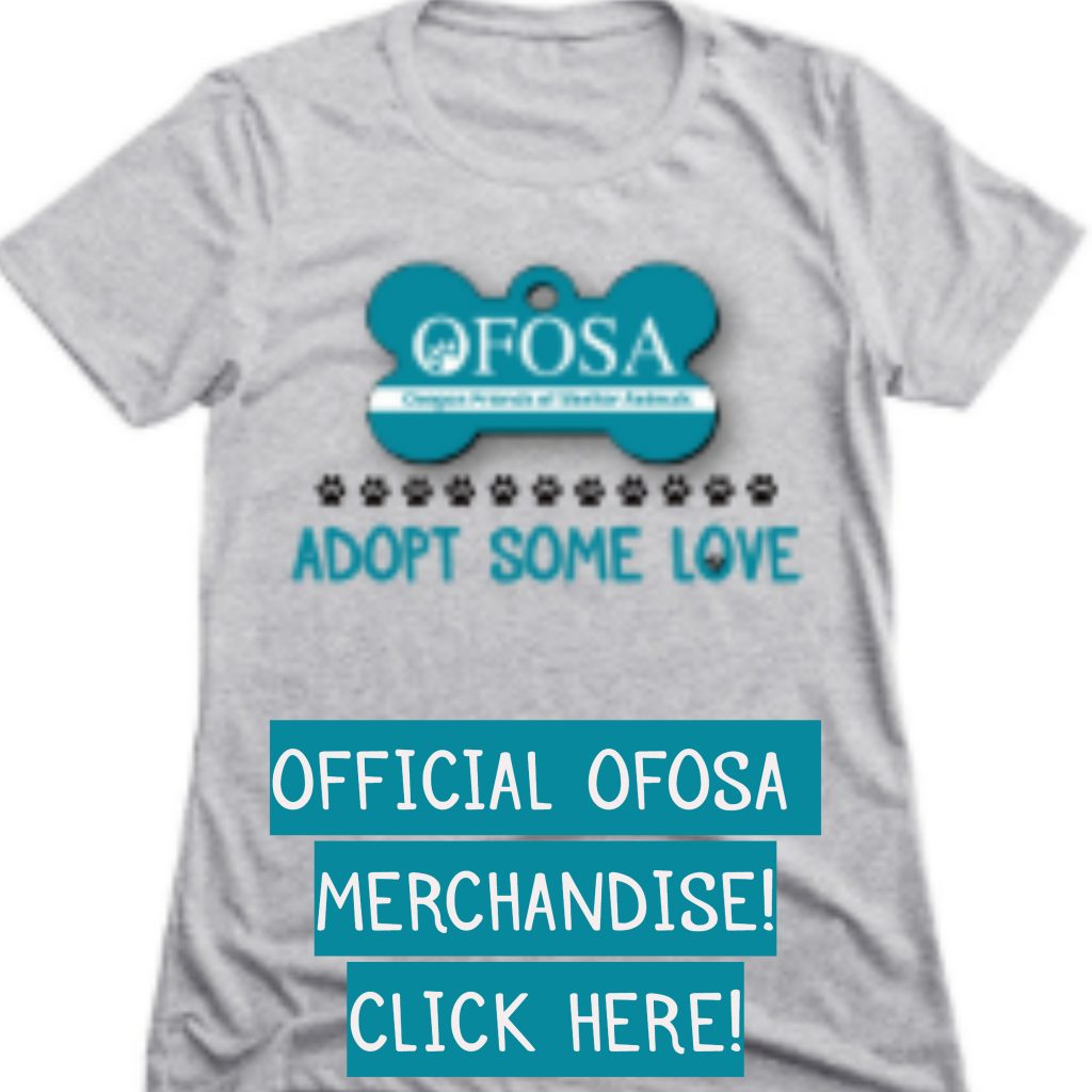 OFOSA Merchandise Widget